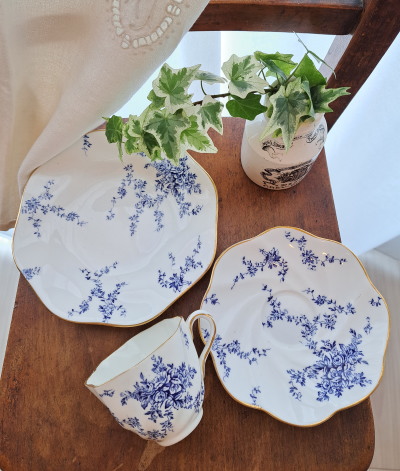 �R�[���|�[�g �u���[�t�����[ �g���I