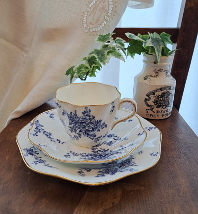 �R�[���|�[�g �u���[�t�����[ �g���I