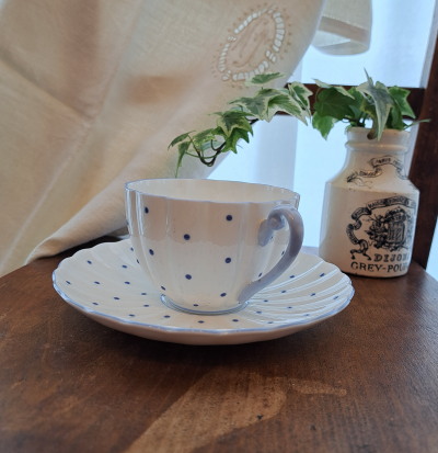 �V�F���[�@�h�b�g�� �J�b�v�@�A���h�@�\�[�T�[�@*�@shelley �A���e�B�[�N�H��