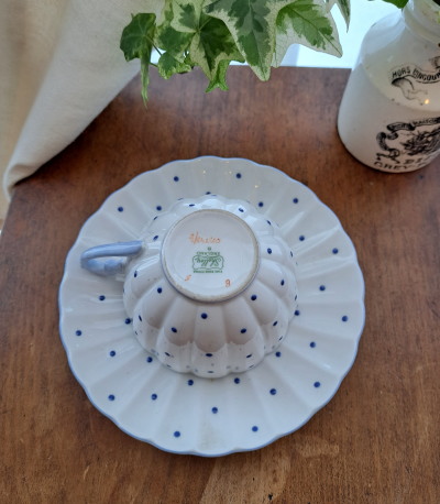 �V�F���[�@�h�b�g�� �J�b�v�@�A���h�@�\�[�T�[�@*�@shelley �A���e�B�[�N�H��