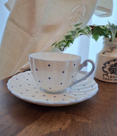 �V�F���[�@�h�b�g�� �J�b�v�@�A���h�@�\�[�T�[�@*�@shelley �A���e�B�[�N�H��