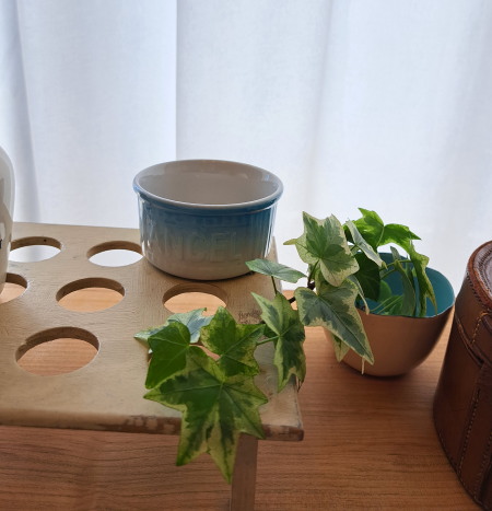 �V���r�[�V�b�N�@�ؐ� �G�b�O�X�^���h�@* �u���J���g �t�����X �A���e�B�[�N�G��